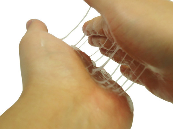 �v���~�A���V���R���N���[���@�i�Q�O�O���j