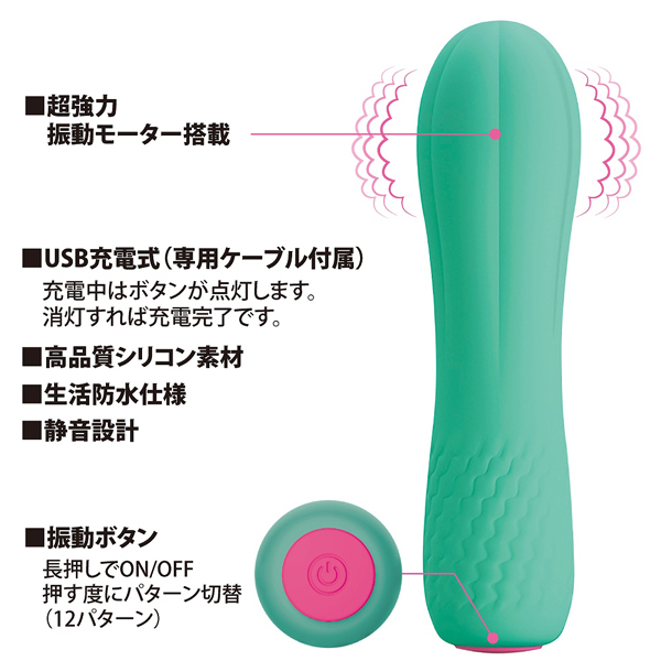 veBu@iVR~joCu[^[j@^[RCY